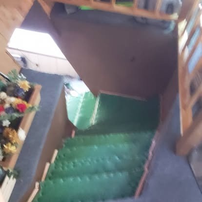 Overhead view of narrow hallway with green carpeting and wooden doorway